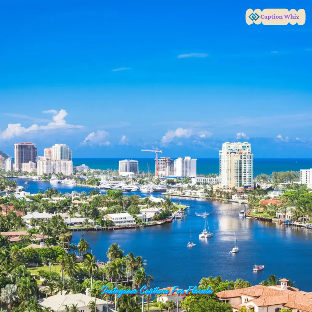 127+ Instagram Captions For Florida Perfect for Your Posts