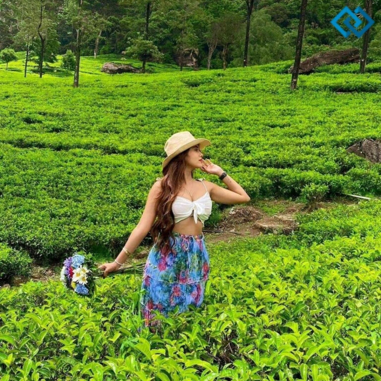 Tea Garden Captions For Instagram