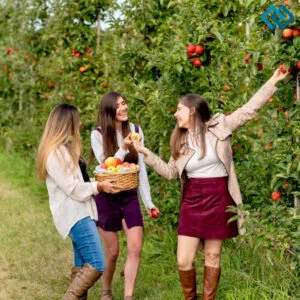 200+ Apple Picking Instagram Captions Family Fun for Fall