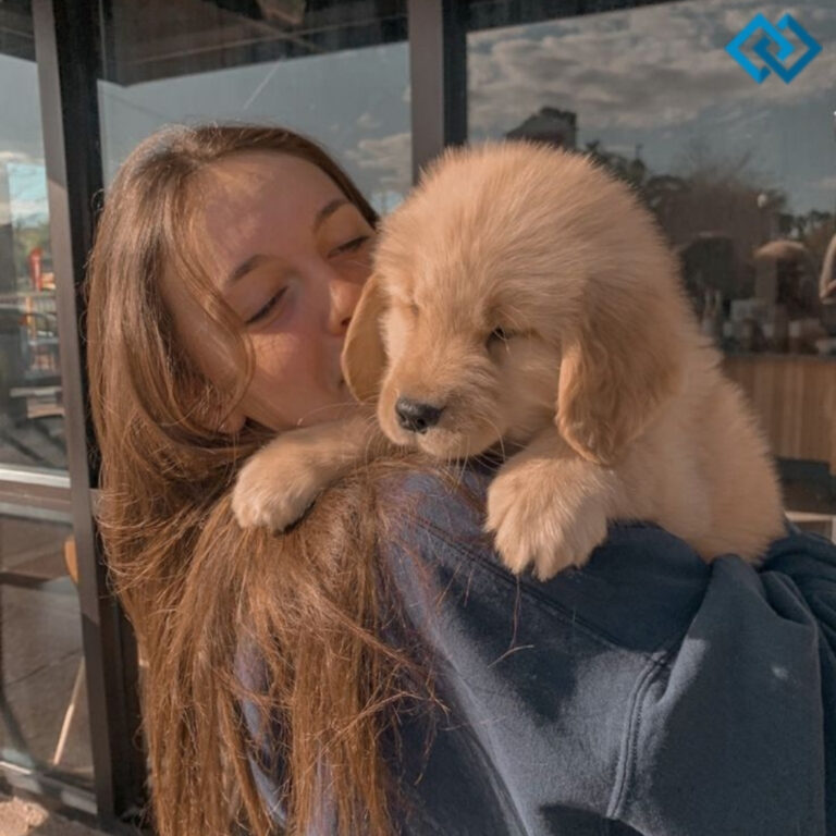 Funny Short Dog Captions For Instagram