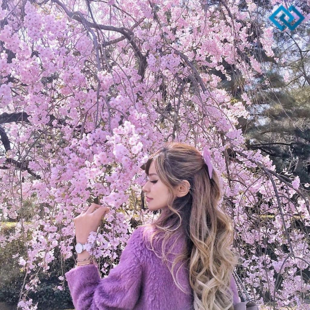 200+ Funny Spring Captions For Instagram to Brighten Your Feed Z 14 Funny Spring Captions For Instagram