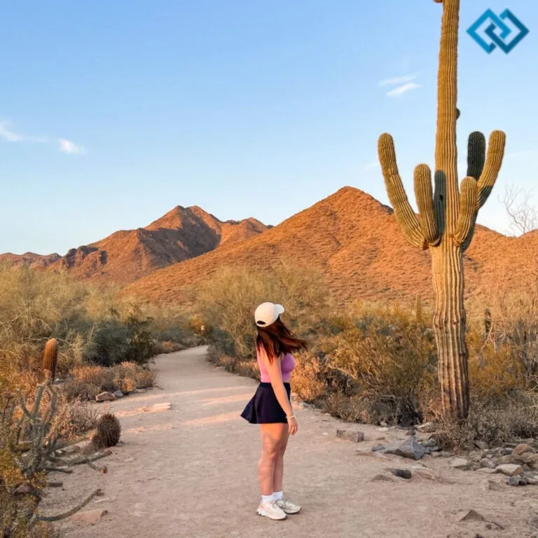 200+ Joshua Tree Instagram Captions for Your Next Adventure