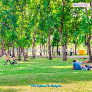 195+ Top Park Captions For Instagram That Capture Nature’s Beauty and Joy
