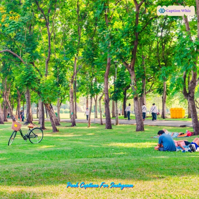 Park Captions For Instagram
