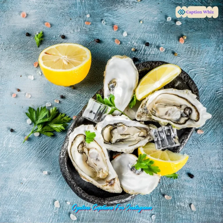 167+ Top Oysters Captions For Instagram That Celebrate Your Love for Seafood Fun