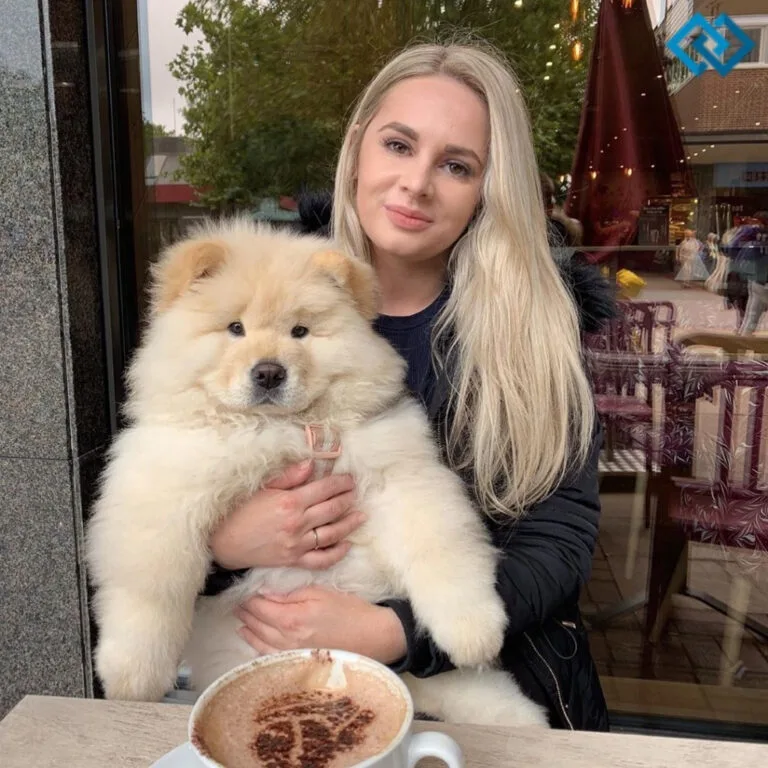 200+ Clever Dog Instagram Captions for Your Furry Friends