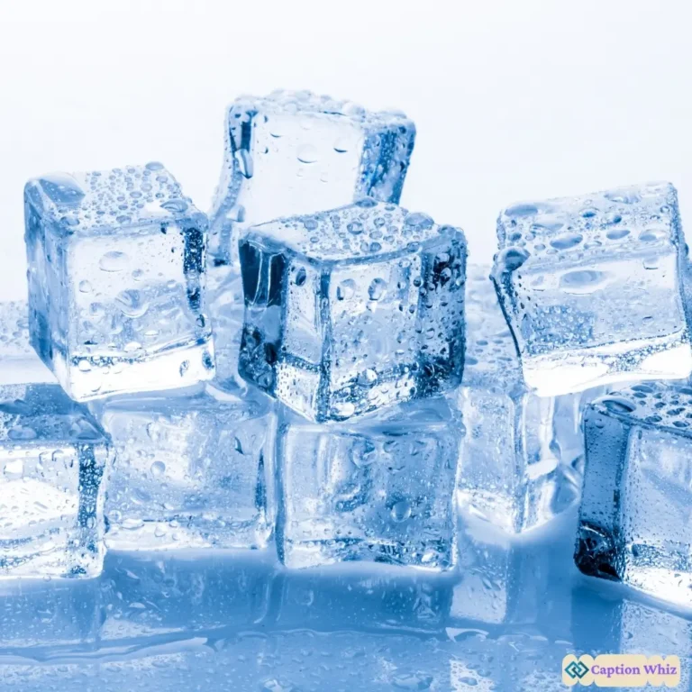 143+ Essential Icy Captions For Instagram and Quotes to Chill Your Feed