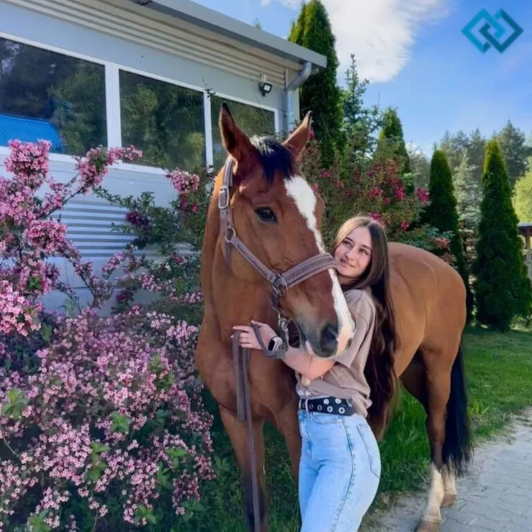 200+ Instagram Captions For Horses That Capture Your Heart and Spirit