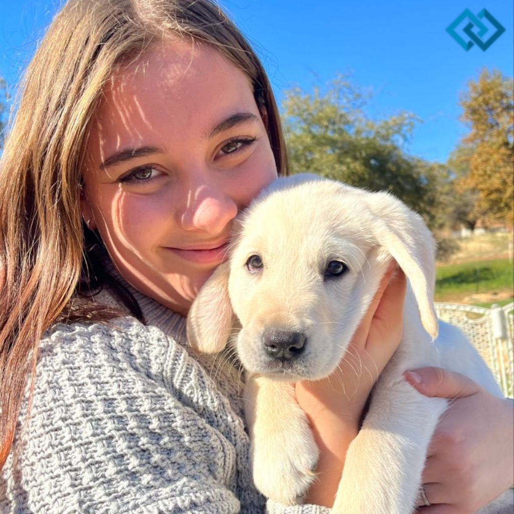 200+ National Dog Day Instagram Captions for Your Furry Friends 19 National Dog Day Instagram Captions