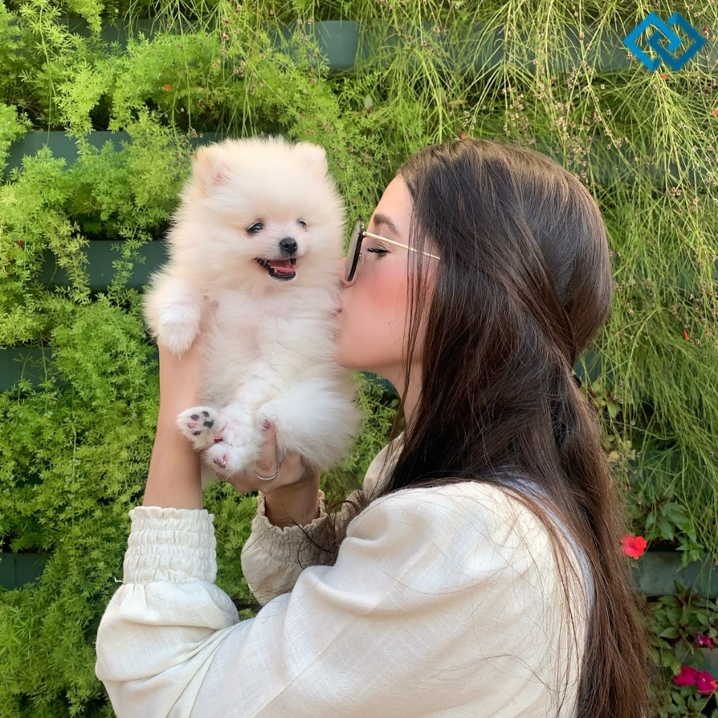 200+ National Pet Day Captions to Celebrate Your Furry Friends in Style 4 National Pet Day Captions