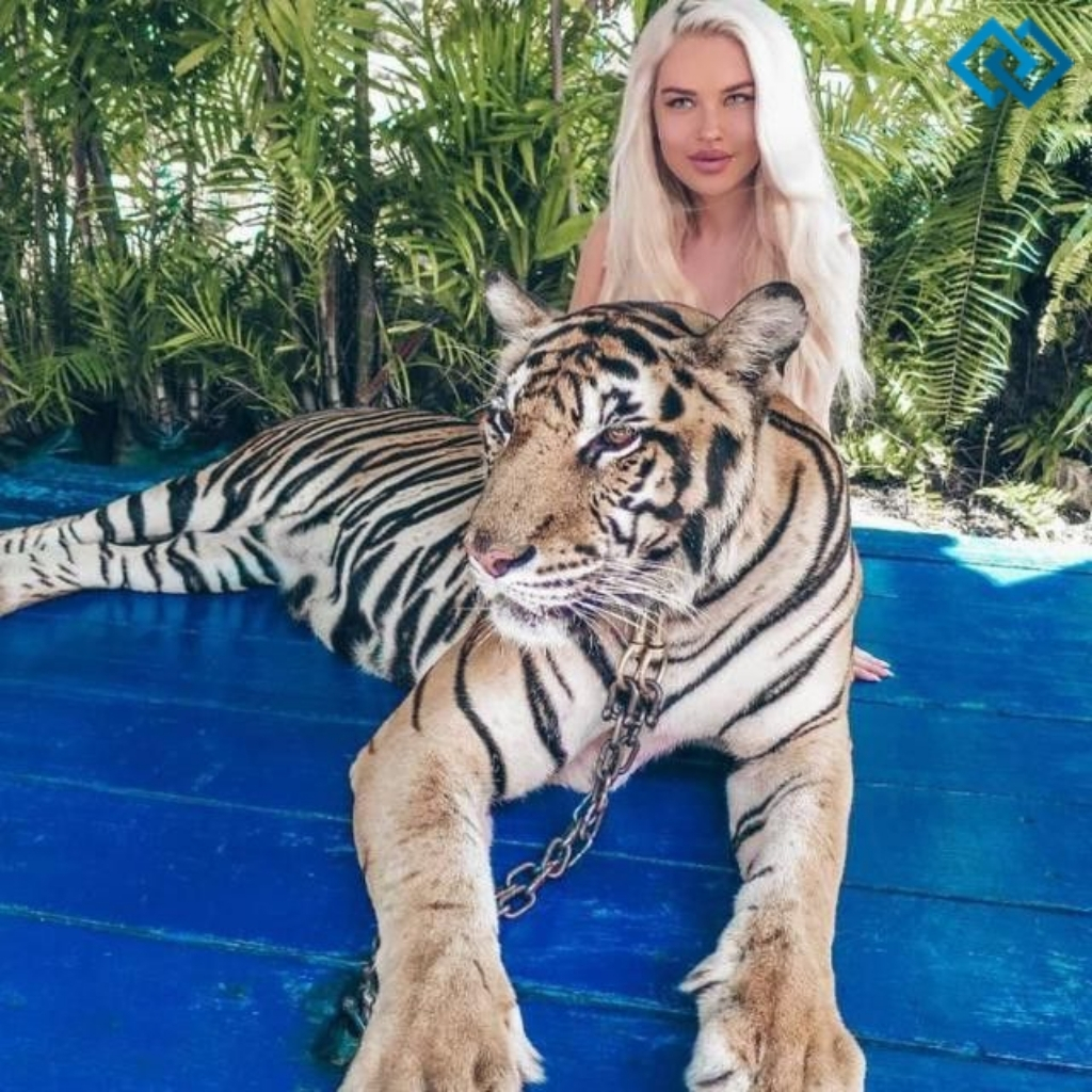 200+ Tiger Captions For Instagram That Roar with Style and Creativity 10 Tiger Captions For Instagram