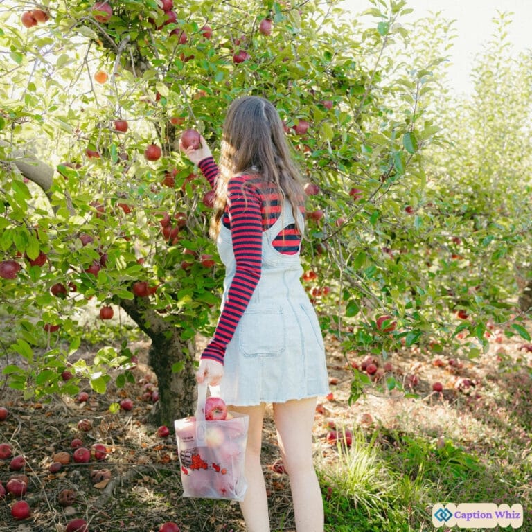 Apple Picking Captions For Instagram