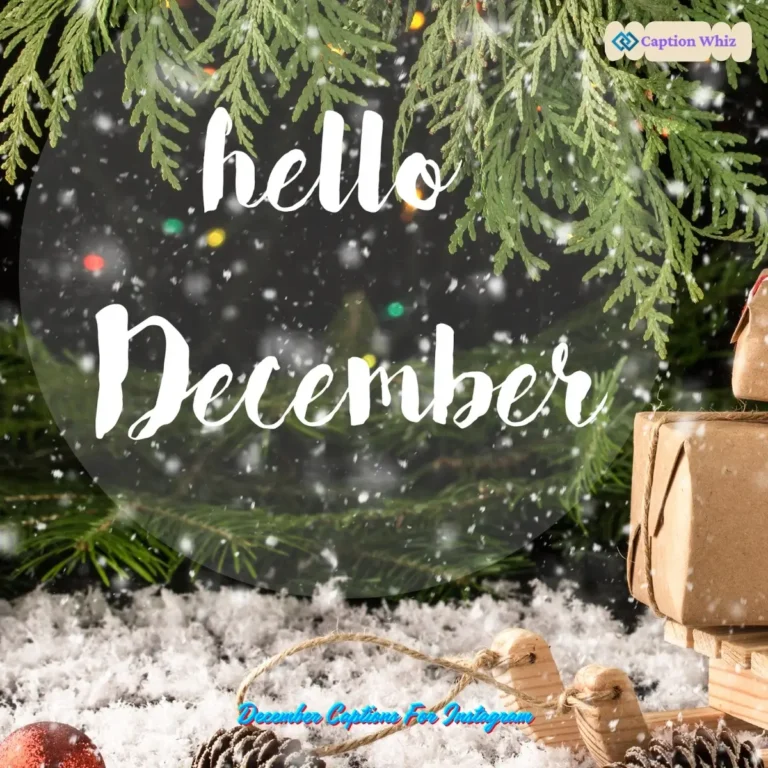 December Captions For Instagram