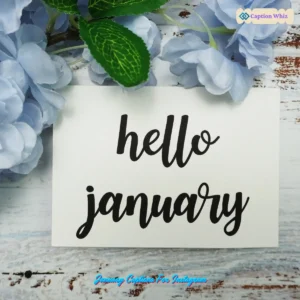 175+ Best January Captions For Instagram to Kickstart Your Year