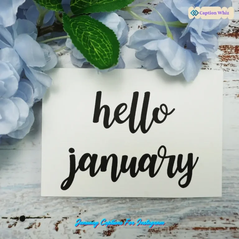 January Captions For Instagram