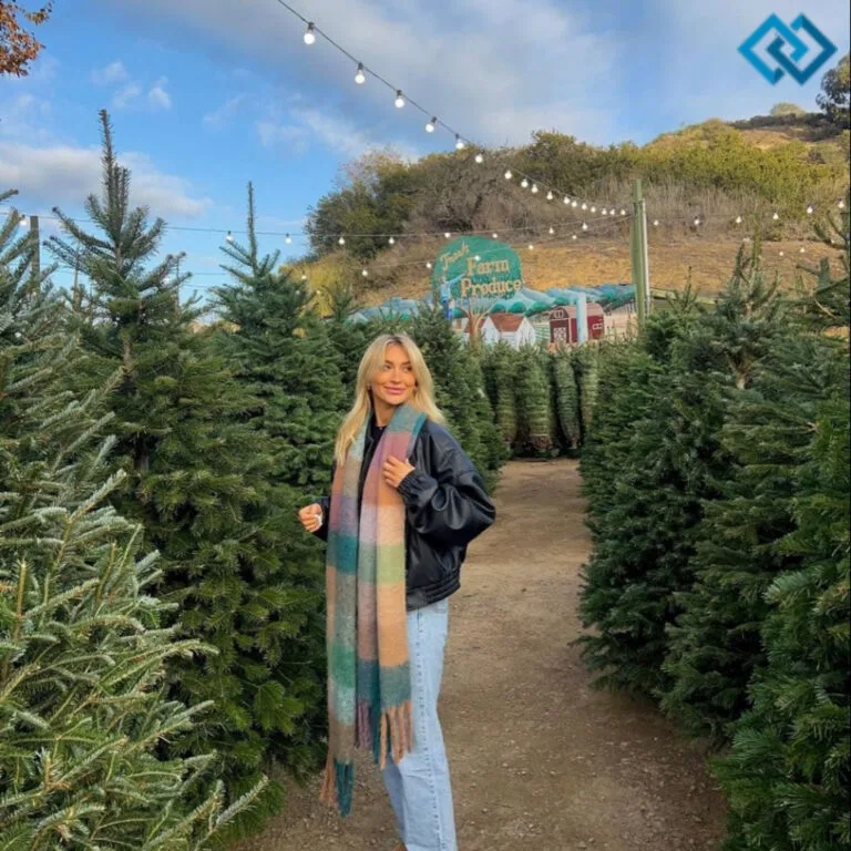 200+ Pine Tree Captions For Instagram to Capture Nature's Beauty and Serenity