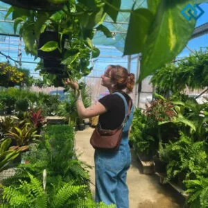 165+ Best Plants Captions For Instagram That Bring Your Greenery to Life