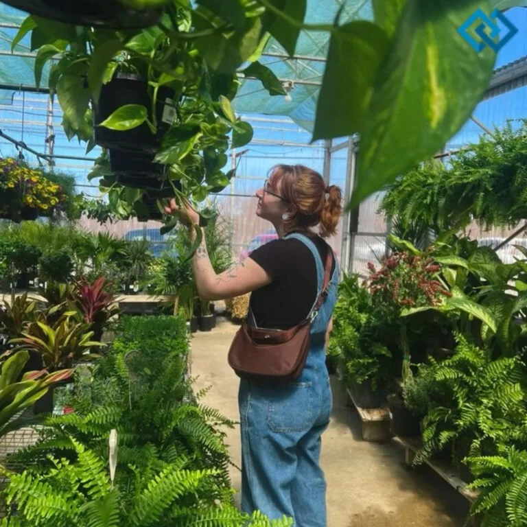 165+ Best Plants Captions For Instagram That Bring Your Greenery to Life