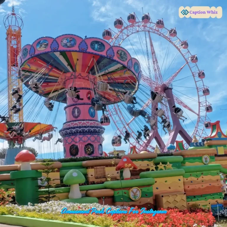 Amusement Park Captions For Instagram