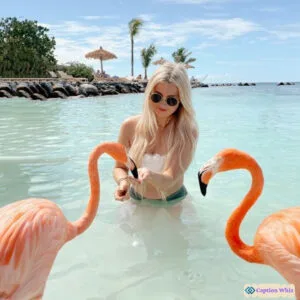 125+ Vibrant Aruba Captions For Instagram and Quotes to Brighten Your Feed