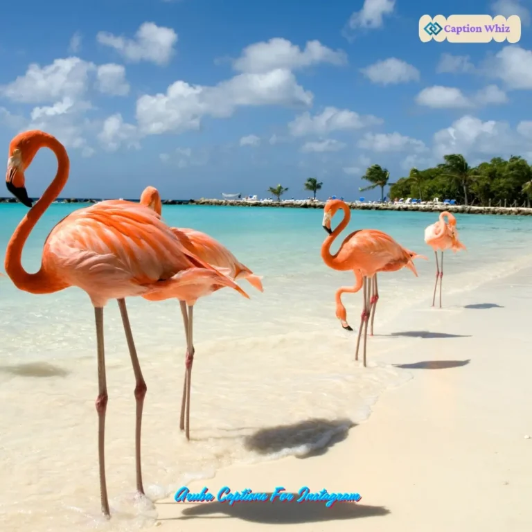 Aruba Captions For Instagram