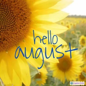 127+ Inspiring August Captions For Instagram and Quotes to Brighten Your Feed