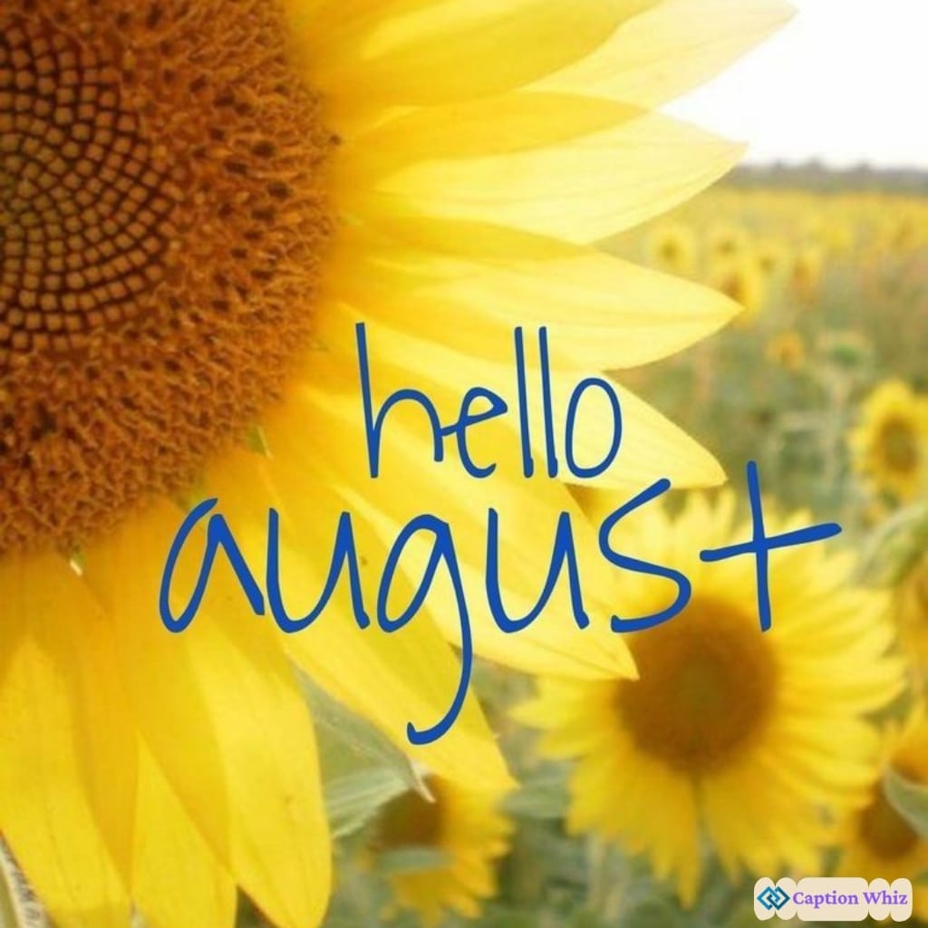 August Captions For Instagram August Captions For Instagram