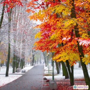 Autumn Captions For Instagram