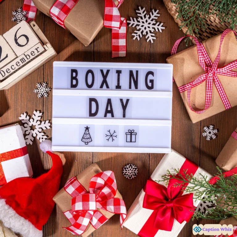 123+ Irresistible Boxing Day Captions For Instagram and Quotes You Can't Miss