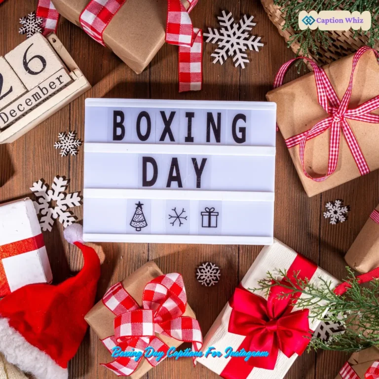 Boxing Day Captions For Instagram