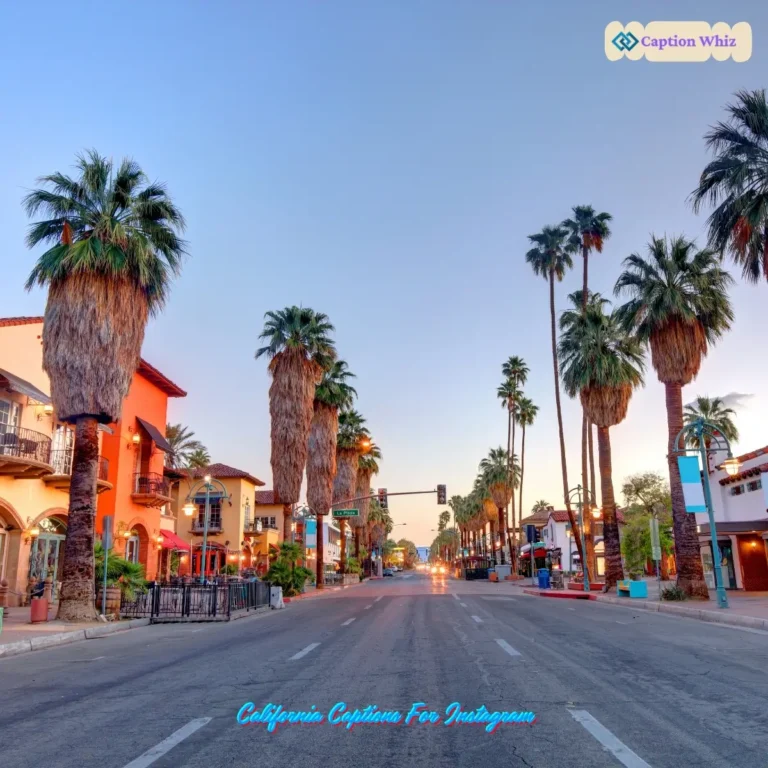 California Captions For Instagram