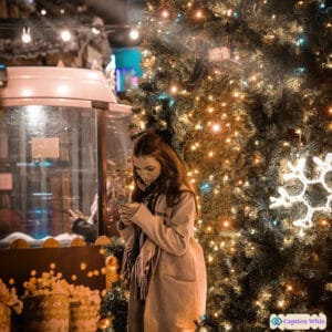 Christmas Lights Captions For Instagram