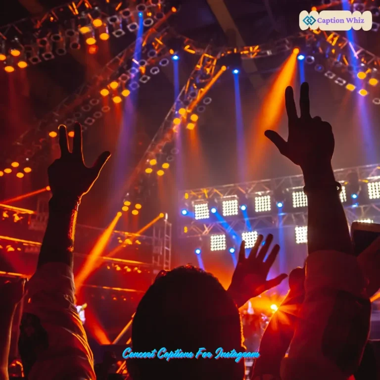 Concert Captions For Instagram