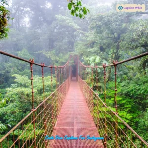 135+ Irresistible Costa Rica Captions For Instagram and Quotes You Can’t Miss