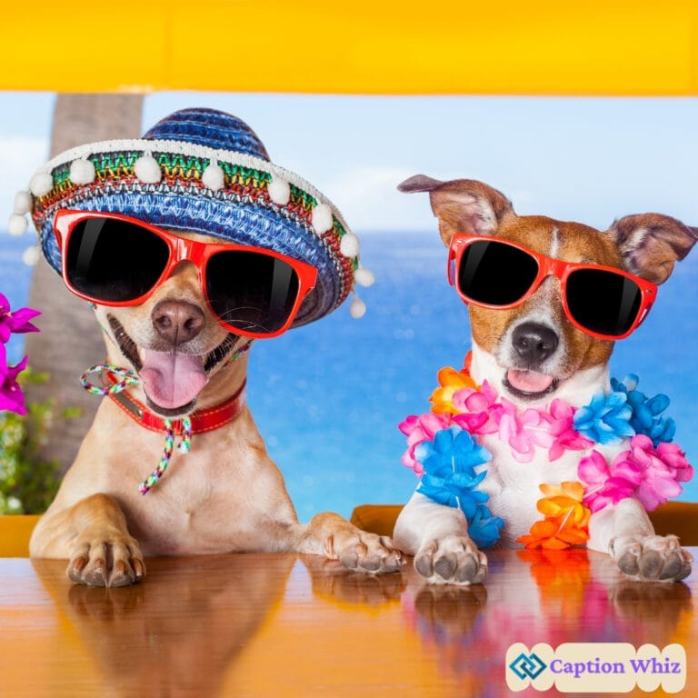 Dog Holiday Instagram Captions