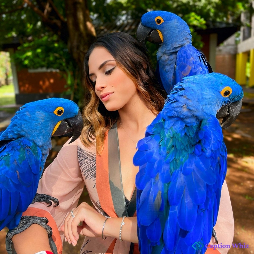 National Bird Day Captions National Bird Day Captions