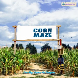 123+ Unforgettable Corn Maze Captions For Instagram and Quotes to Inspire Fun