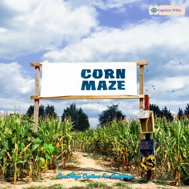 123+ Unforgettable Corn Maze Captions For Instagram and Quotes to Inspire Fun