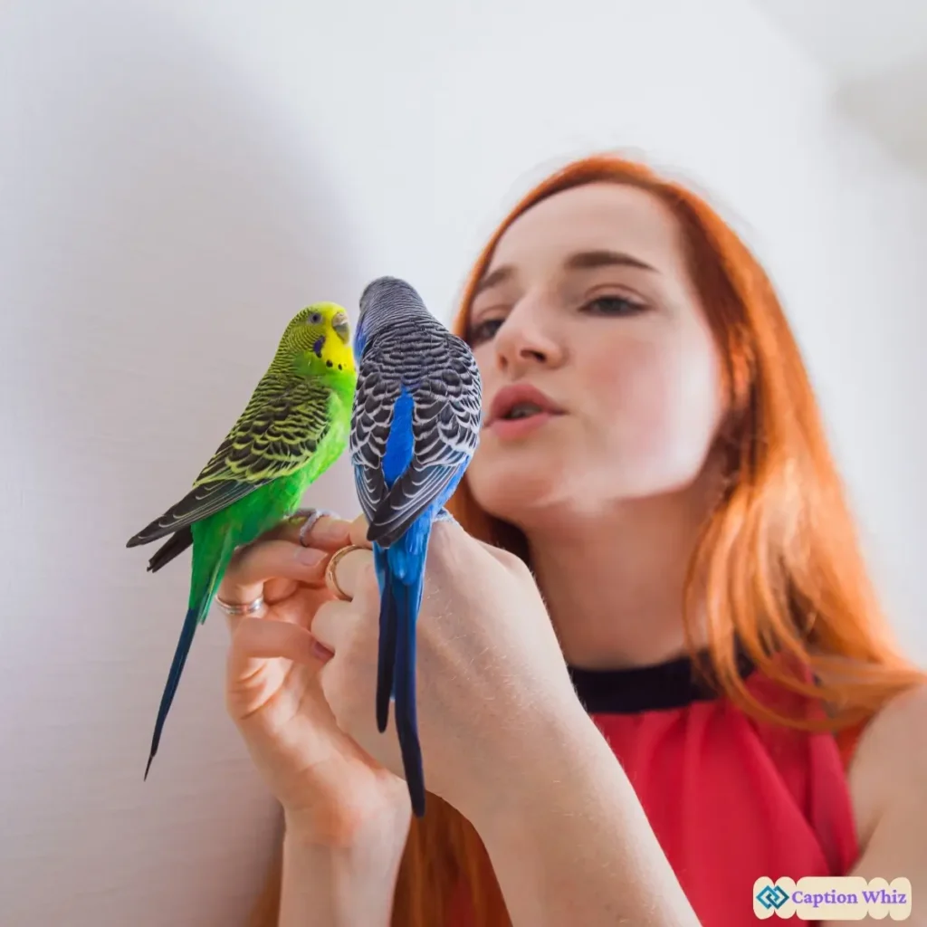 125+ Irresistible Love Birds Captions For Instagram and Quotes That Spark Romance