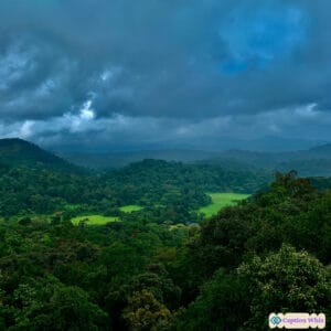 145+ Stunning Coorg Captions For Instagram and Quotes That Spark Inspiration