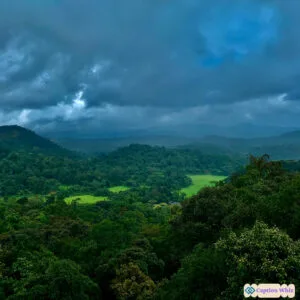 145+ Stunning Coorg Captions For Instagram and Quotes That Spark Inspiration