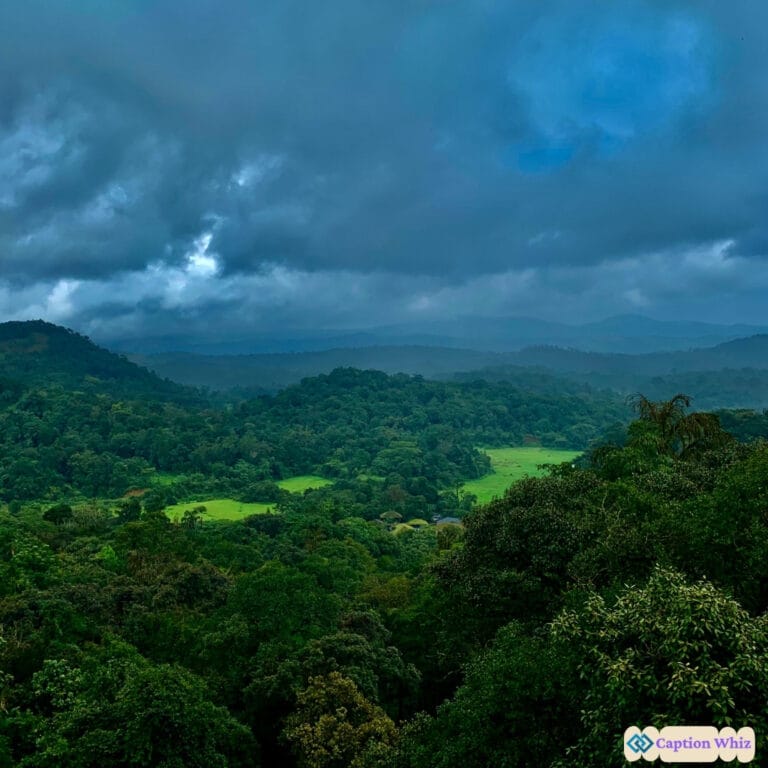 145+ Stunning Coorg Captions For Instagram and Quotes That Spark Inspiration