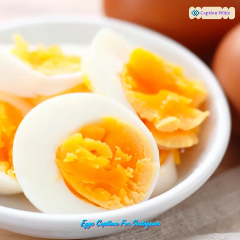 Eggs Captions For Instagram