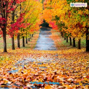 143+ Unforgettable Fall Captions For Instagram and Quotes to Inspire Your Autumn Vibes