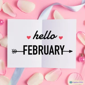 137+ Essential February Captions For Instagram and Quotes to Boost Engagement