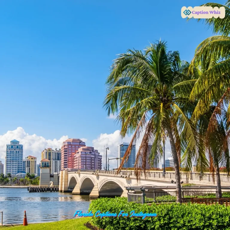 Florida Captions For Instagram