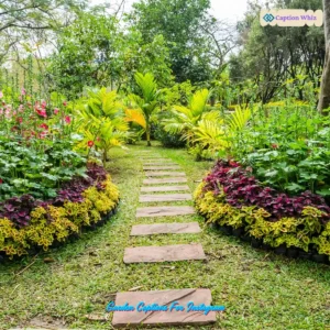 143+ Stunning Garden Captions For Instagram and Quotes to Inspire Your Green Thumb
