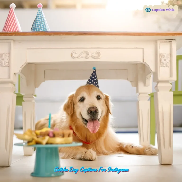 Gotcha Day Captions For Instagram