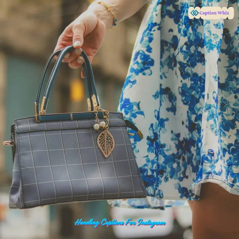 Handbag Captions For Instagram