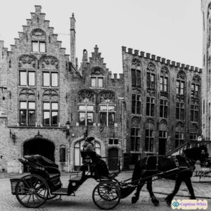 123+ Unforgettable History Captions For Instagram and Quotes That Inspire Curiosity